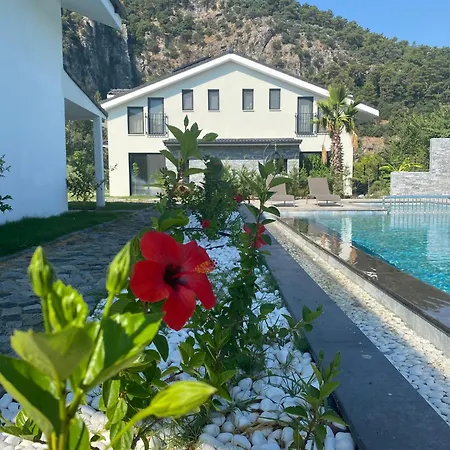 My Vila Ortaca (Mugla)